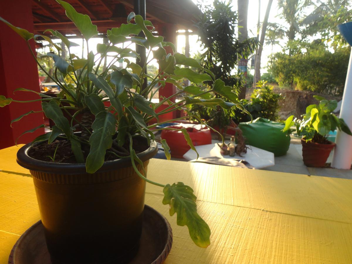 The Yuppi Hippi Female Hostel Anjuna Bagian luar foto